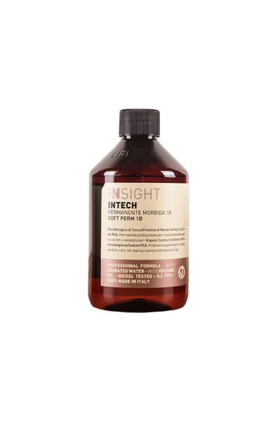 Insight Intech Perm